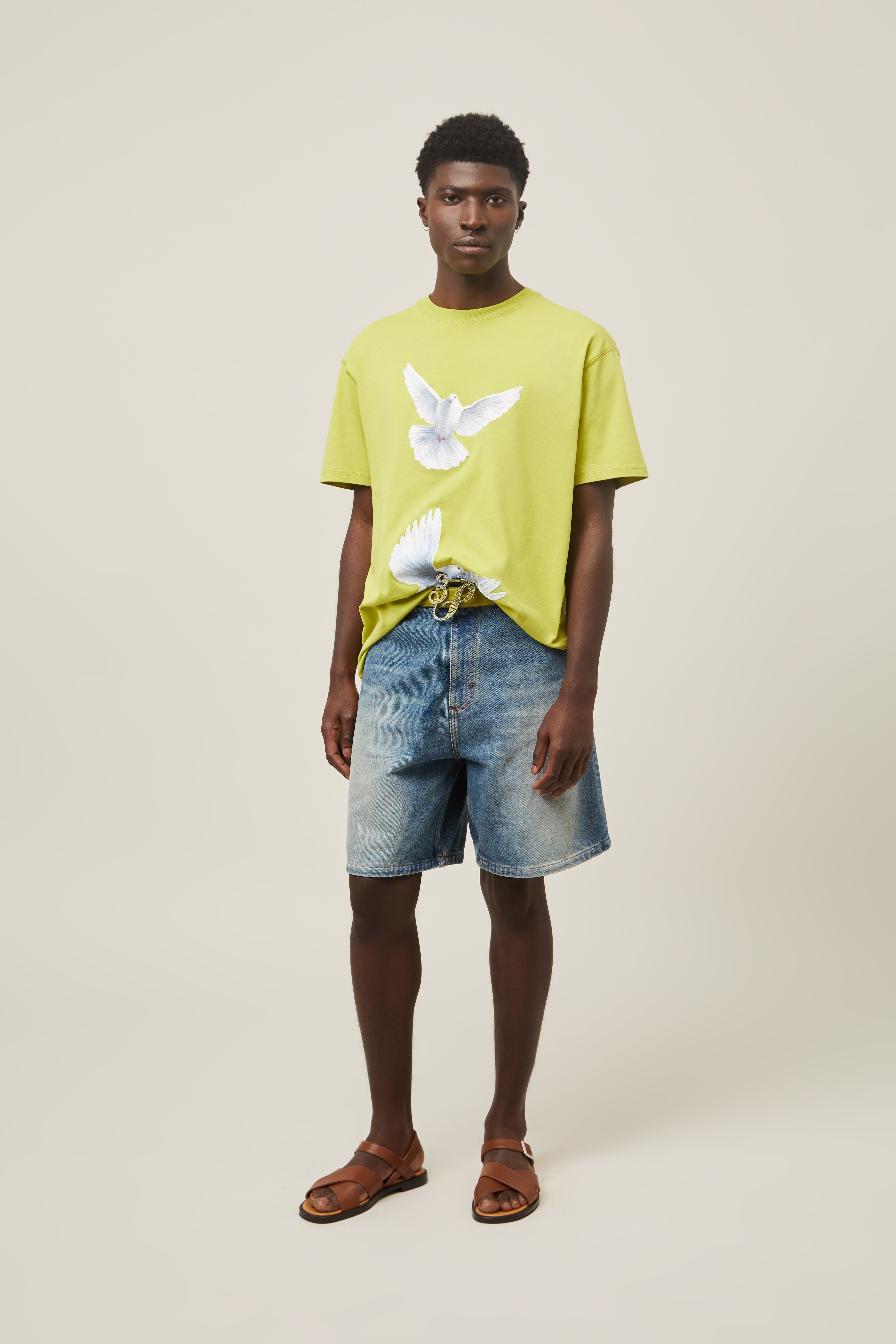 Freedom Doves T-Shirt