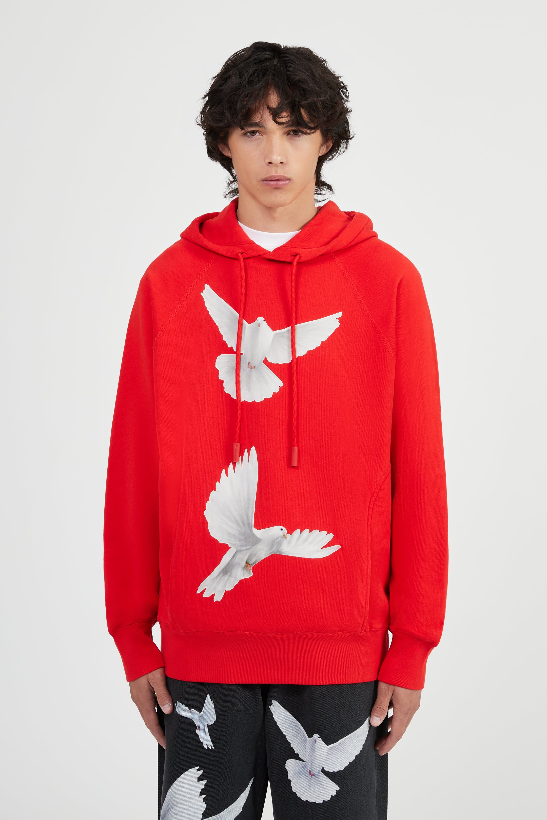 Freedom Doves Hooded Sweater