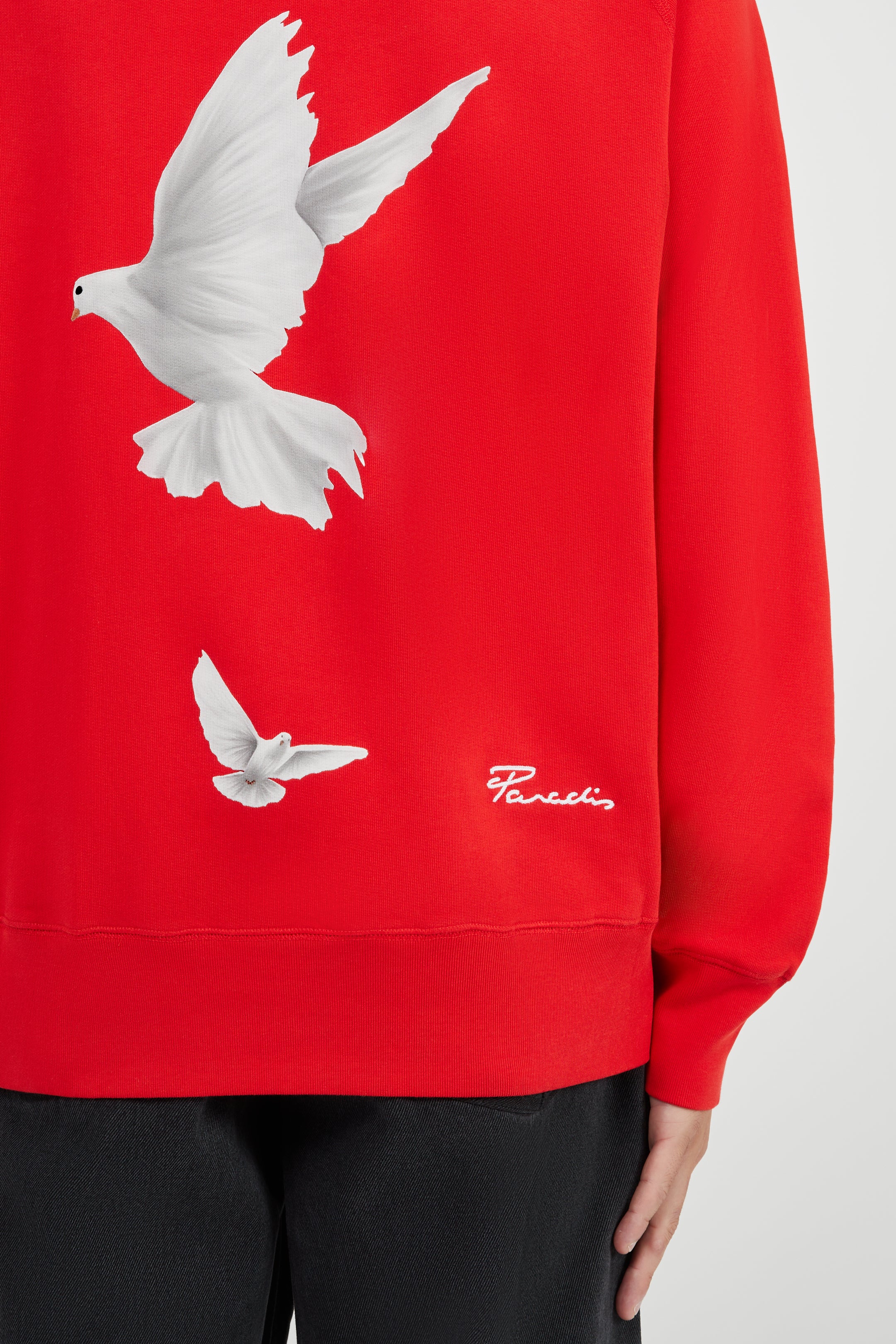 Freedom Doves Hooded Sweater