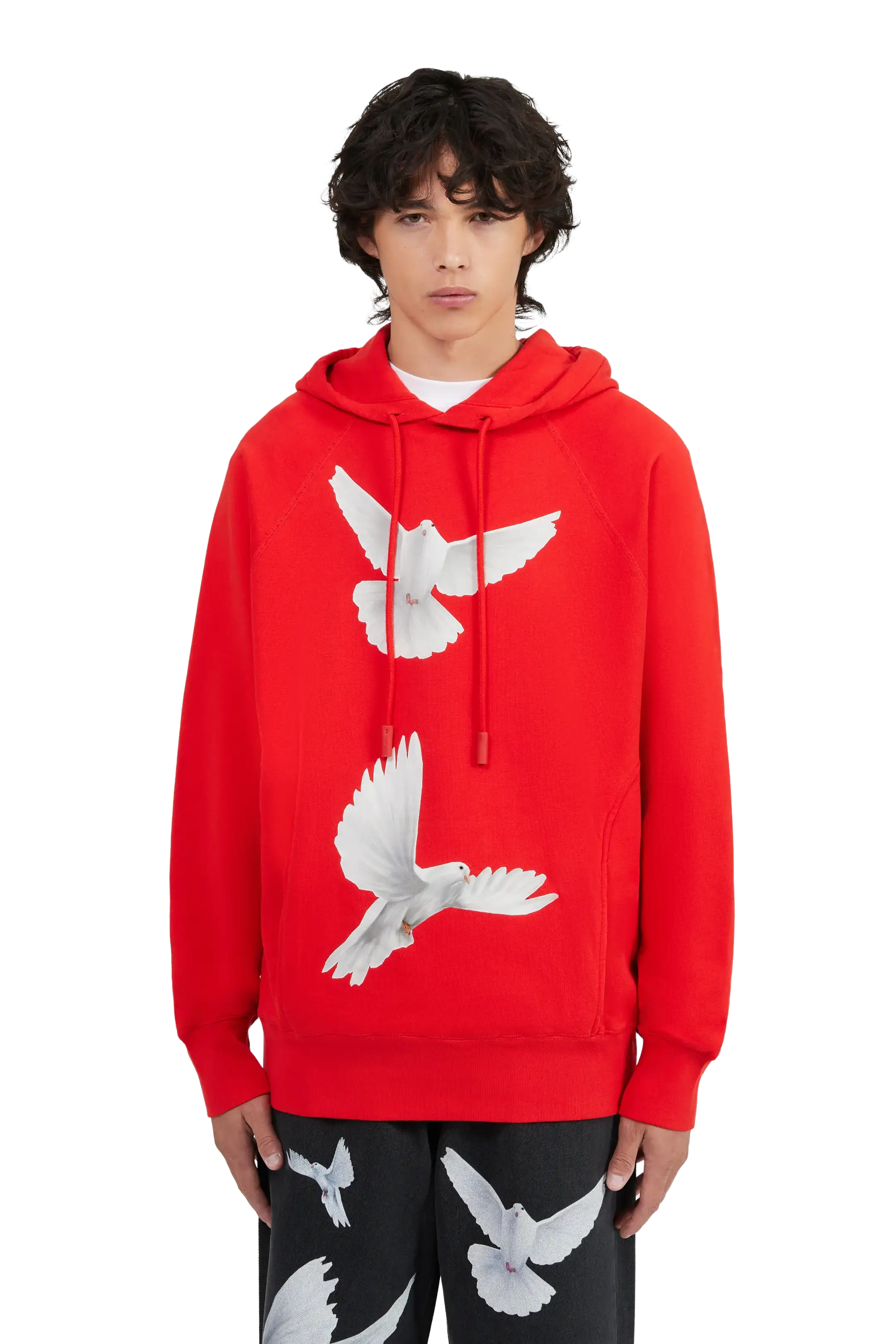 Freedom Doves Hooded Sweater