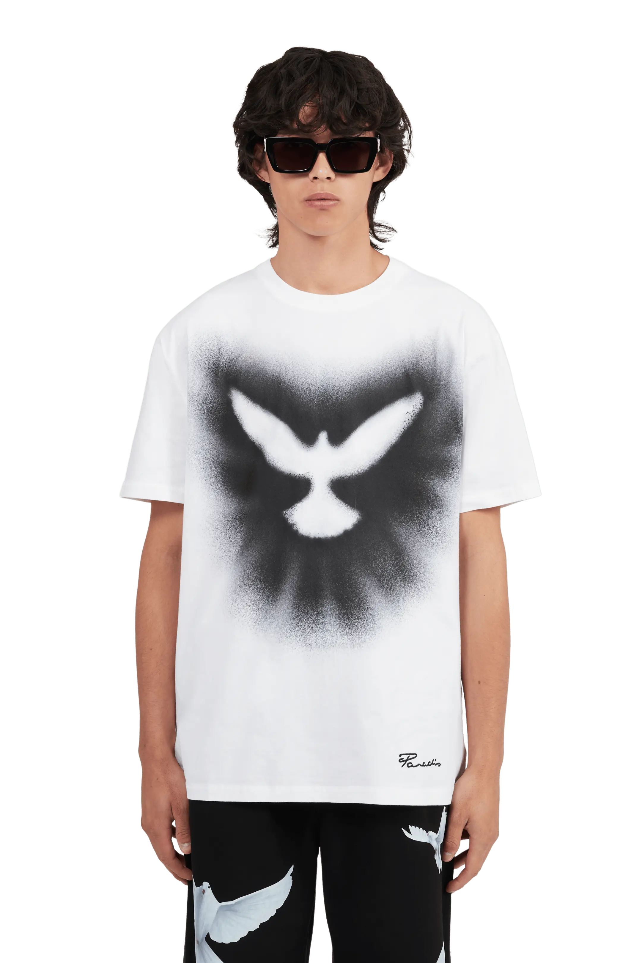 Dove Explosion T-Shirt