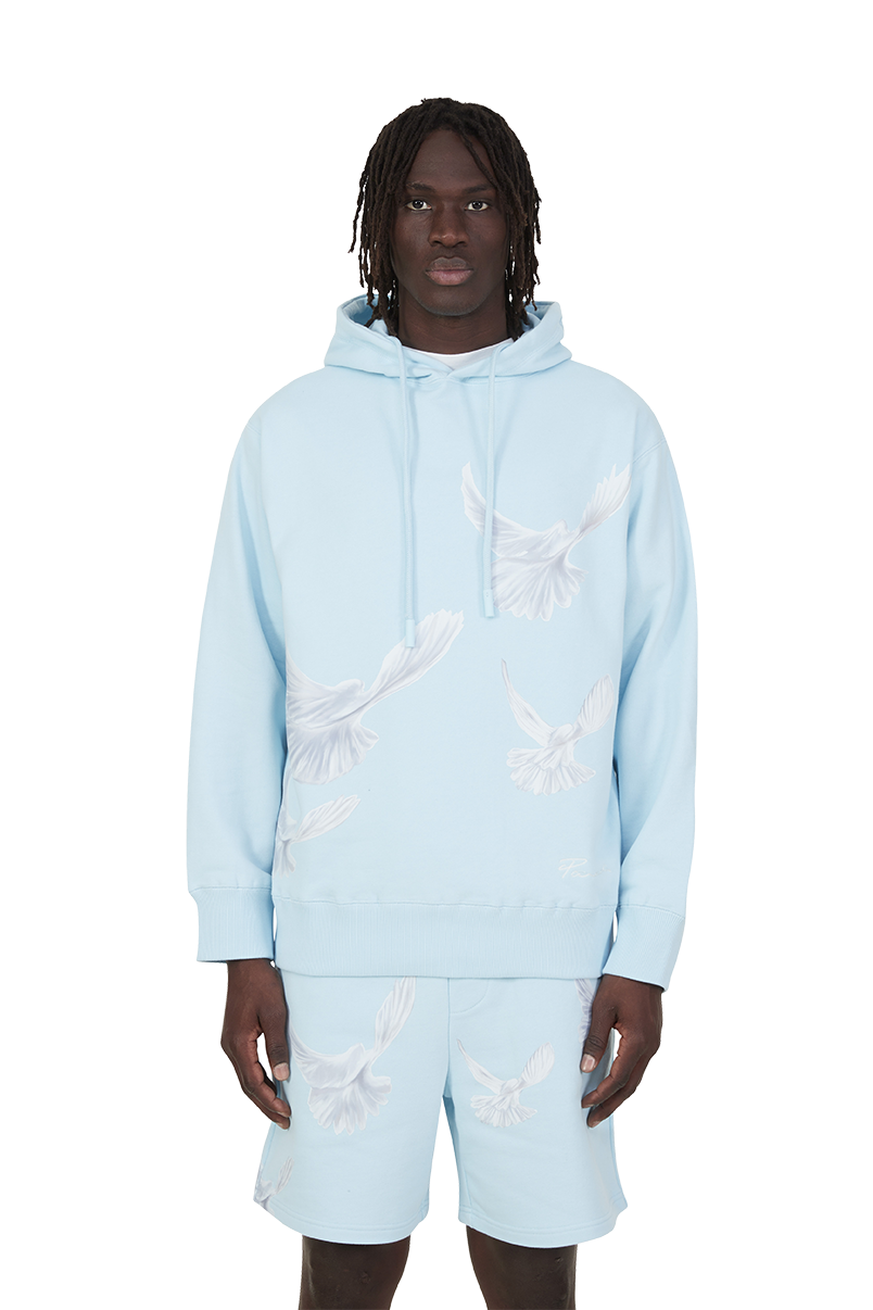SINGING DOVES SKY BLUE HOODED SWEATER