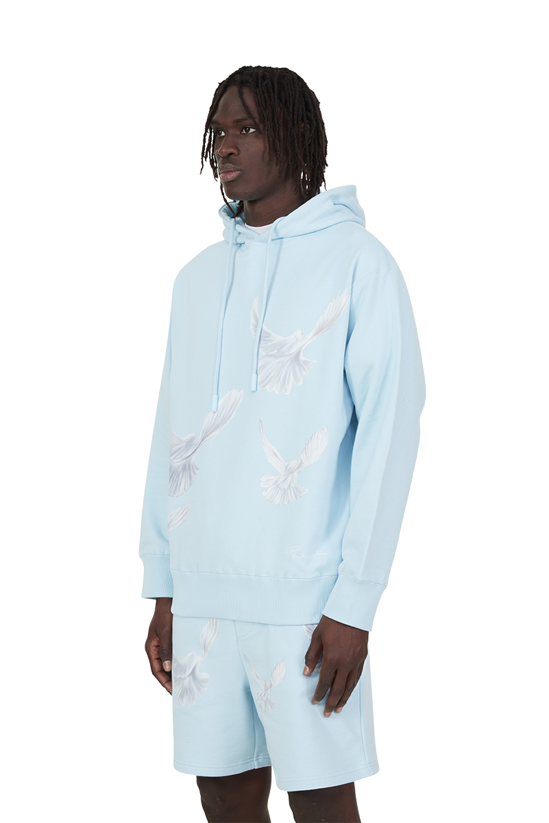 SINGING DOVES SKY BLUE HOODED SWEATER