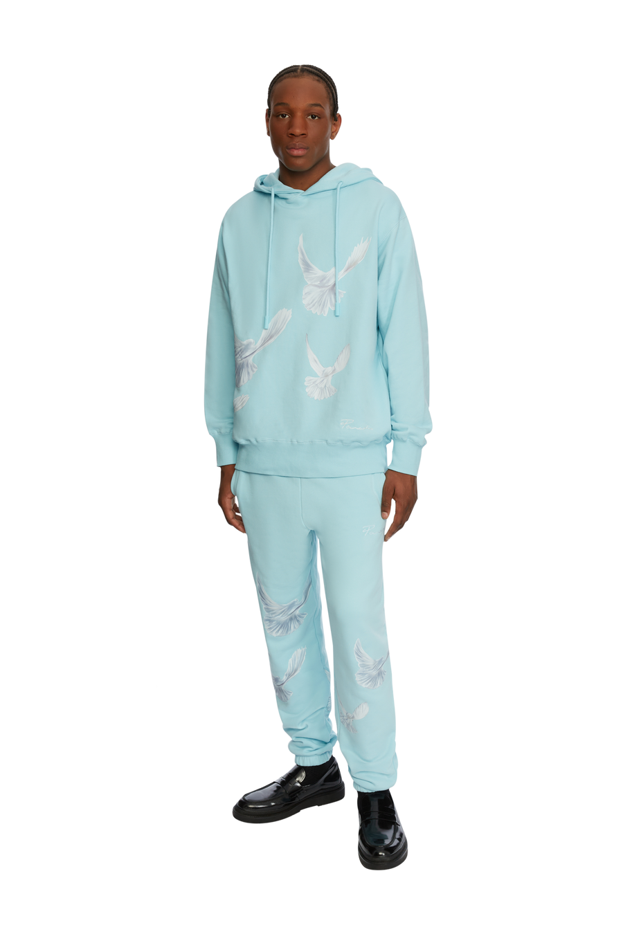 SINGING DOVES SKY BLUE HOODED SWEATER